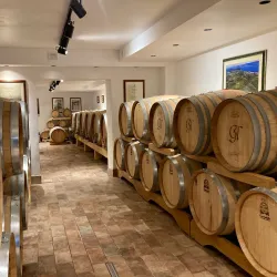 Olive Groves and Vineyards - Krk