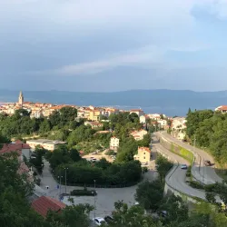 Olive Groves and Vineyards - Krk