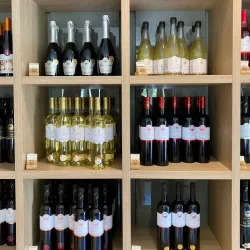 Olive Groves and Vineyards - Krk