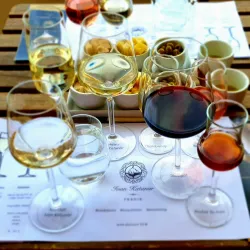 Olive Groves and Vineyards - Krk