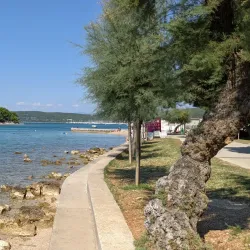 Punat Bay - Krk