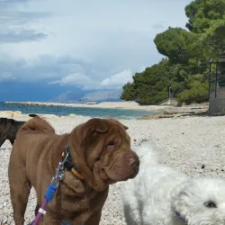 Makarska Aquarium - Makarska