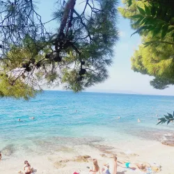 Makarska Aquarium - Makarska