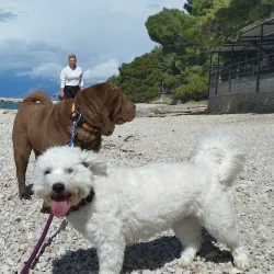 Makarska Aquarium - Makarska