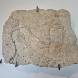 Archaeological Museum Narona - Metkovic