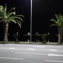 Mandarin Groves - Metkovic