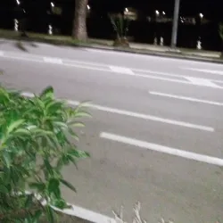 Mandarin Groves - Metkovic