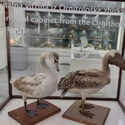 Metković City Museum - Metkovic