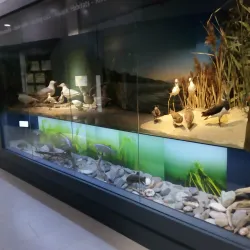 Metković City Museum - Metkovic