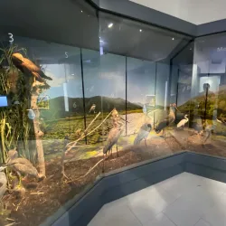 Metković City Museum - Metkovic