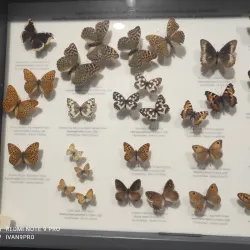 Metković City Museum - Metkovic