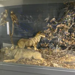 Metković City Museum - Metkovic