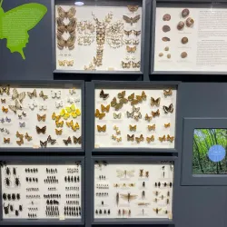 Metković City Museum - Metkovic