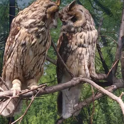 Metković City Museum - Metkovic
