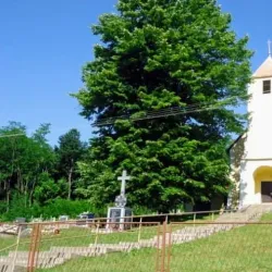 Church of St. Mary - Nasice