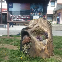 Našice Cultural Center - Nasice