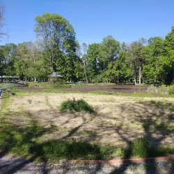 Park of Pejačević Castle - Nasice