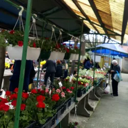 Local Market - Nova Gradiska
