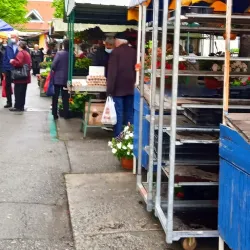 Local Market - Nova Gradiska