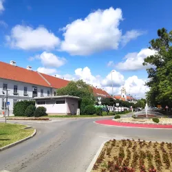 Nova Gradiška City Museum - Nova Gradiska