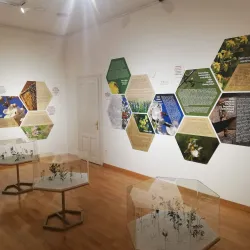 Nova Gradiška City Museum - Nova Gradiska