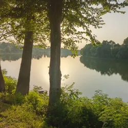 Sava River - Nova Gradiska