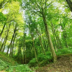 Novska City Park - Novska