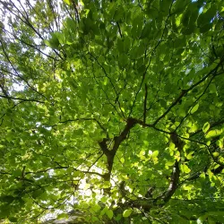 Novska City Park - Novska