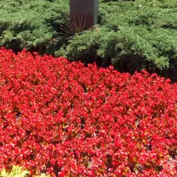 Ivana Brlić-Mažuranić Memorial Center - Ogulin