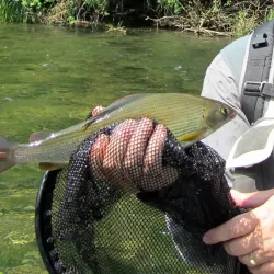 Ribnik River - Ogulin