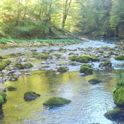 Kupa River - Ozalj