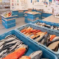 Local Artisan Shops - Ozalj