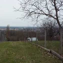 Church of the Holy Trinity - Petrinja