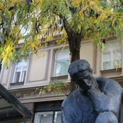Monument to Nikola Tesla - Petrinja