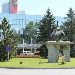 Old Town Petrinja - Petrinja