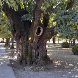 Petrinja City Park - Petrinja