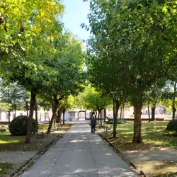 Petrinja City Park - Petrinja