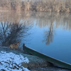 Petrinja Town Museum - Petrinja