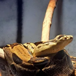 Porec Aquarium - Porec