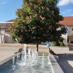 Cultural Center Prelog - Prelog