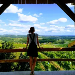 Local Wine Cellars - Prelog