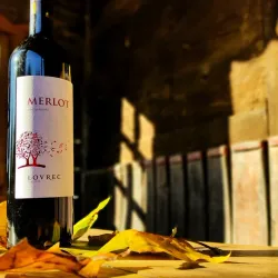 Local Wine Cellars - Prelog