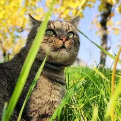 Local Wine Cellars - Prelog