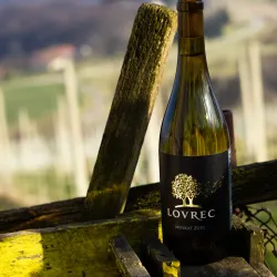 Local Wine Cellars - Prelog