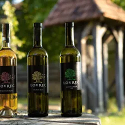 Local Wine Cellars - Prelog