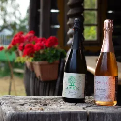 Local Wine Cellars - Prelog