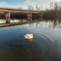 Prelog Town Square - Prelog