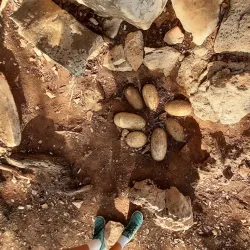 Brijuni National Park - Pula