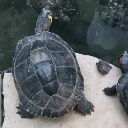 Pula Aquarium - Pula