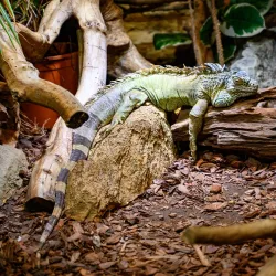 Pula Aquarium - Pula